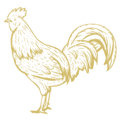 Птиця